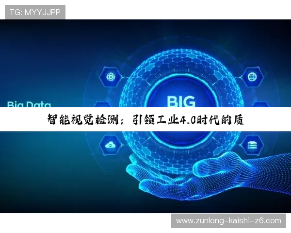 开云Kaiyun备用平台：助力企业构建全面的灾难恢复与应急预案