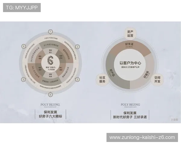 中国尊龙集团在金融服务行业的布局与多元化发展路径探索