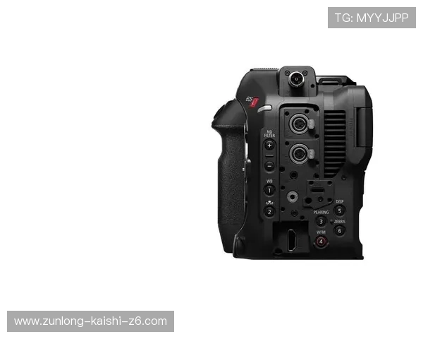 Z6尊龙手机版下载安装指南,详细步骤帮助新手玩家轻松开启精彩游戏之旅